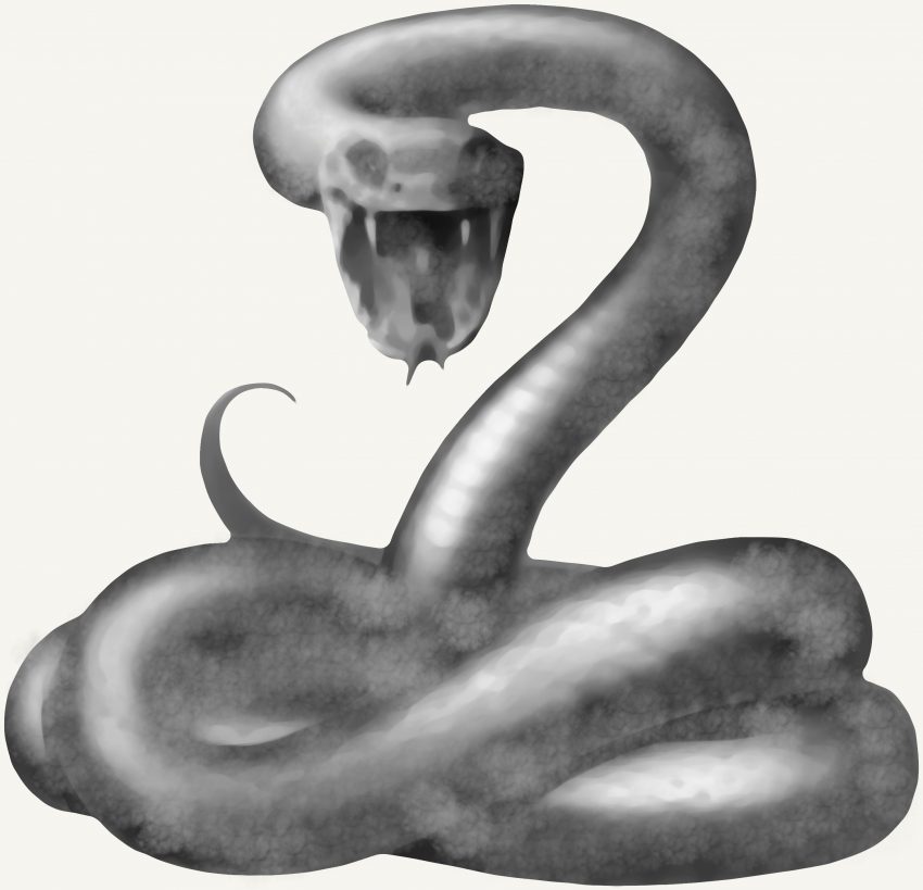 Rowida's smoke snake
